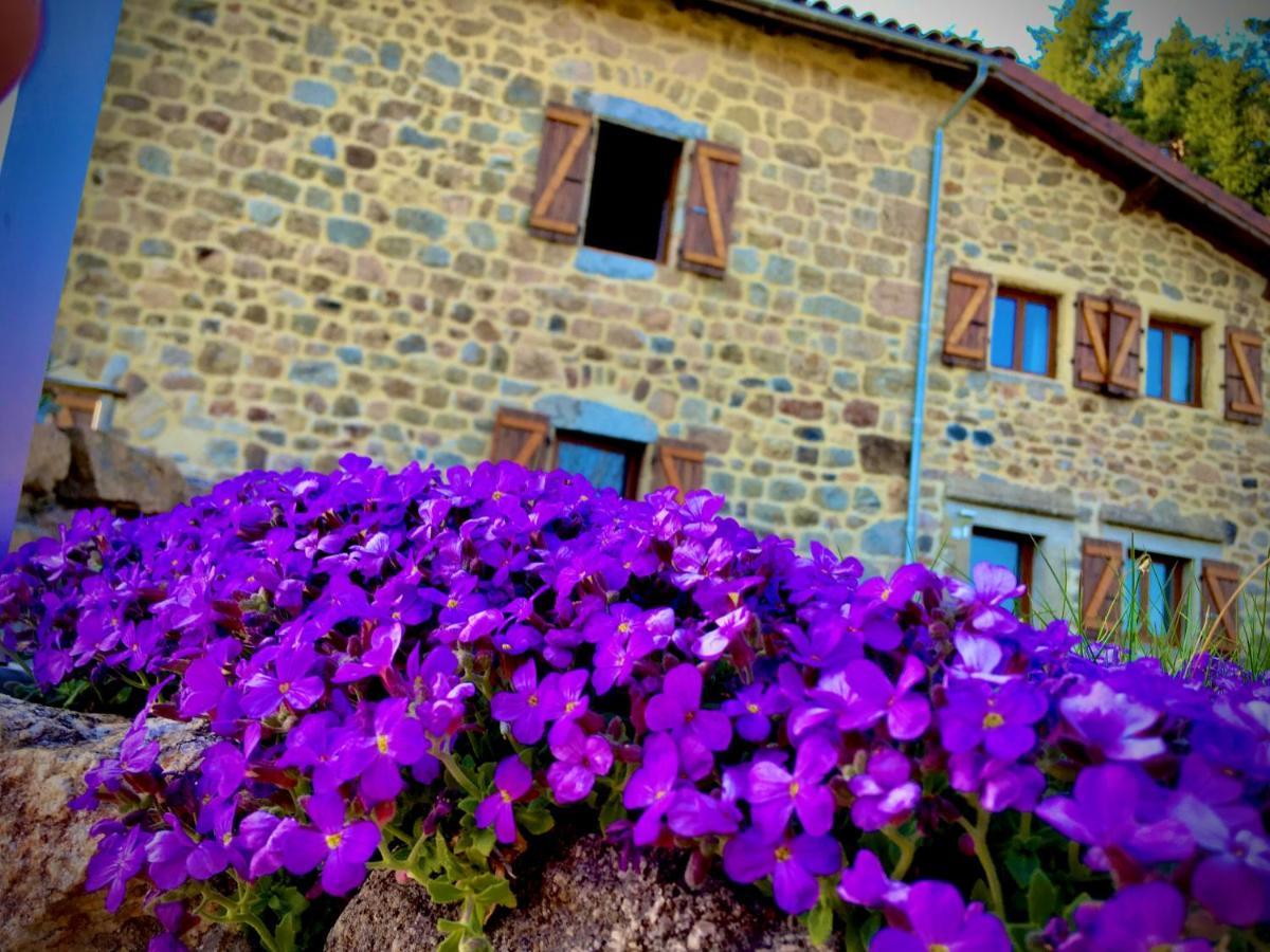 Grange De Sagne Maison Et Table D Hotes Avec Diner Sur Reservation Saint-Jean-Roure المظهر الخارجي الصورة
