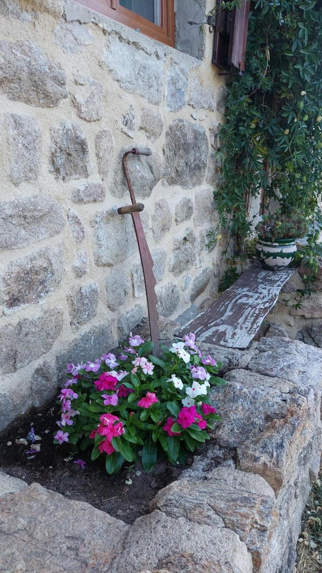 Grange De Sagne Maison Et Table D Hotes Avec Diner Sur Reservation Saint-Jean-Roure المظهر الخارجي الصورة
