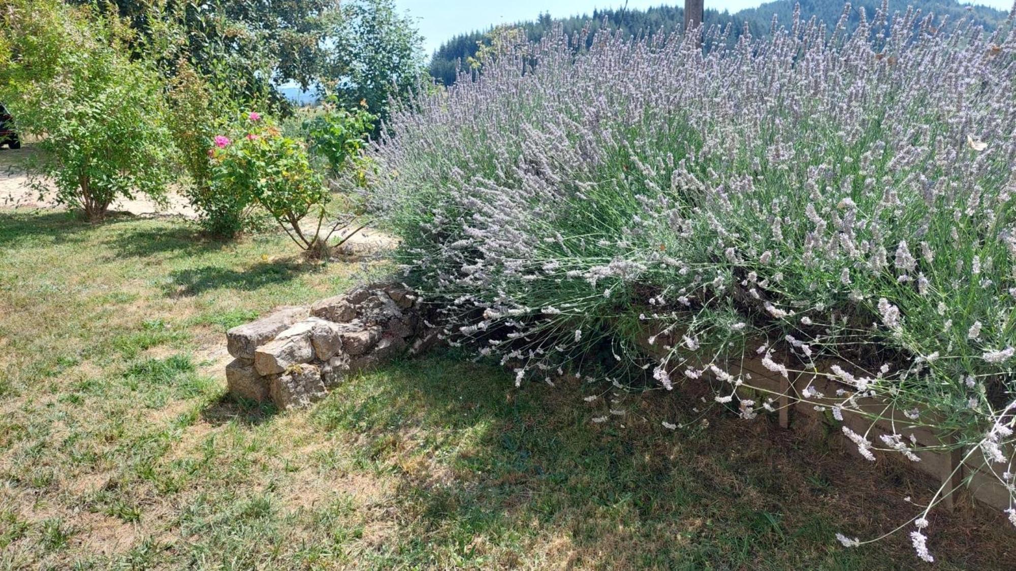 Grange De Sagne Maison Et Table D Hotes Avec Diner Sur Reservation Saint-Jean-Roure المظهر الخارجي الصورة